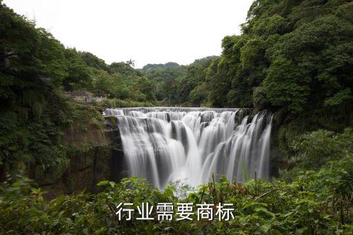 行业需要商标
