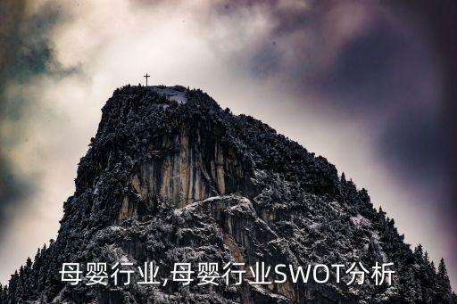 母婴行业,母婴行业SWOT分析
