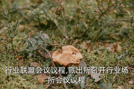 行业联盟会议议程,派出所召开行业场所会议议程