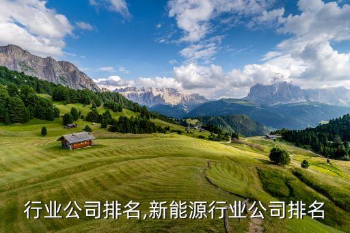 行业公司排名,新能源行业公司排名