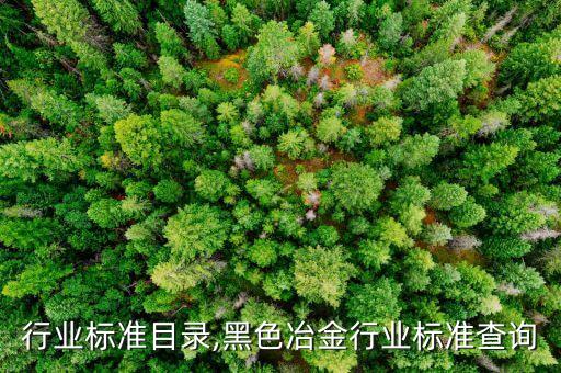 行业标准目录,黑色冶金行业标准查询