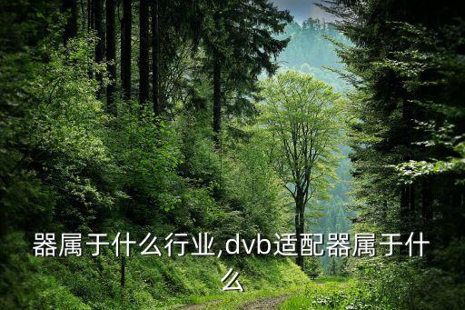 适配器属于什么行业,dvb适配器属于什么