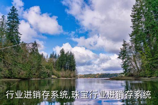行业进销存系统,珠宝行业进销存系统