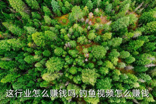这行业怎么赚钱吗,钓鱼视频怎么赚钱
