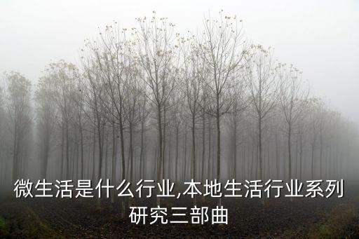 微生活是什么行业,本地生活行业系列研究三部曲