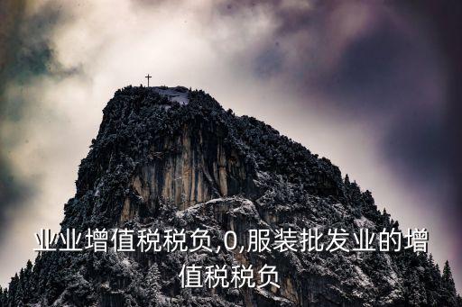 业业增值税税负,0,服装批发业的增值税税负
