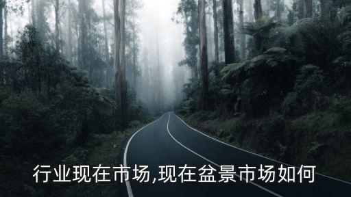 盆景行业现在市场,现在盆景市场如何
