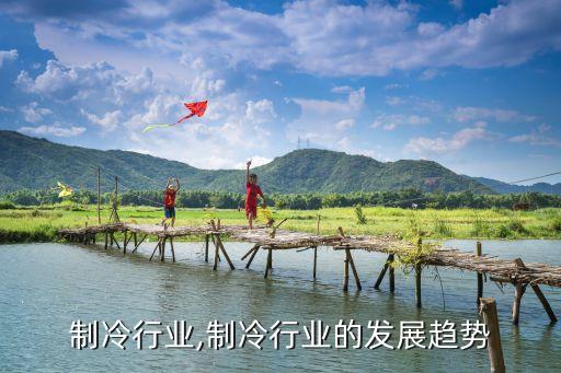 家用制冷行业,制冷行业的发展趋势