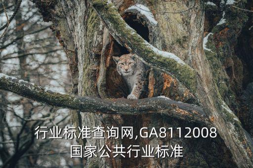 公共行业标准查询网,GA811-2008国家公共行业标准