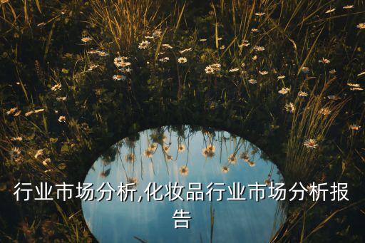 行业市场分析,化妆品行业市场分析报告