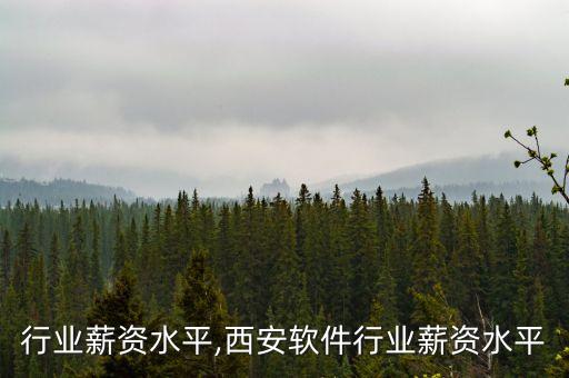 软件行业薪资水平,西安软件行业薪资水平