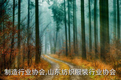 山东制造行业协会,山东纺织服装行业协会