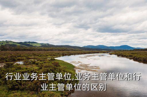 洗衣行业业务主管单位,业务主管单位和行业主管单位的区别