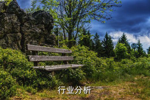 香精行业分析