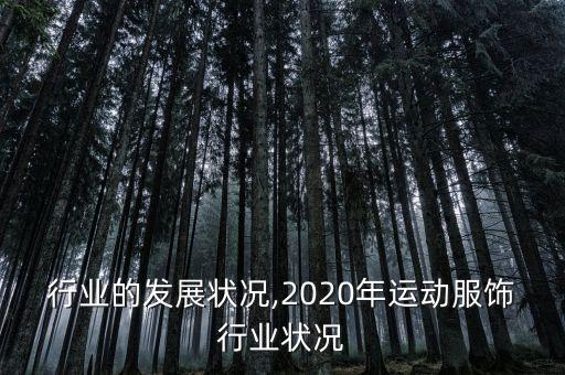 行业的发展状况,2020年运动服饰行业状况