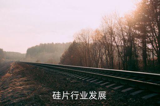 国际硅片行业发展