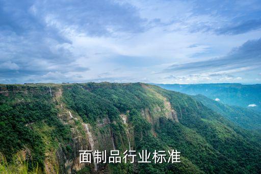 面制品行业标准