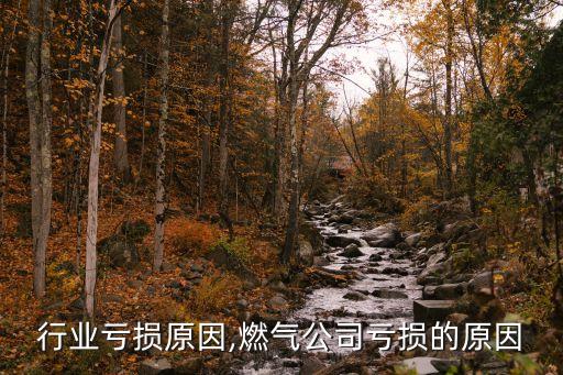 燃气行业亏损原因,燃气公司亏损的原因