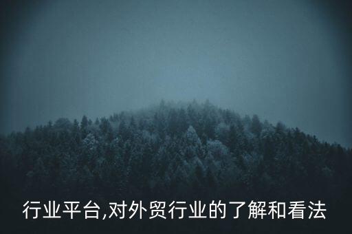 行业平台,对外贸行业的了解和看法