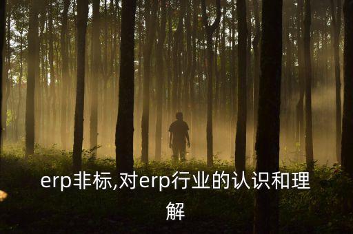 行业erp非标,对erp行业的认识和理解