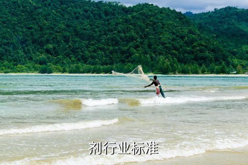 堵漏剂行业标准