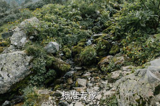 行业标准专家