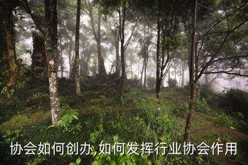 行业协会如何创办,如何发挥行业协会作用