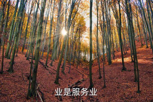 业是服务业