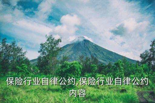上海保险行业自律公约,保险行业自律公约内容
