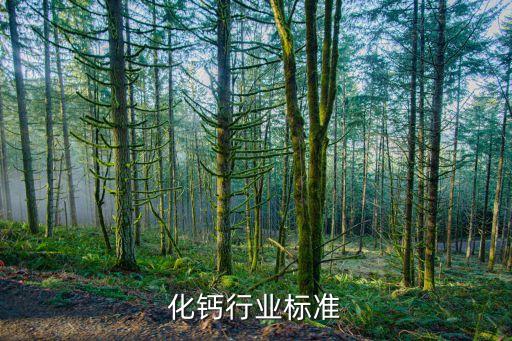 化钙行业标准