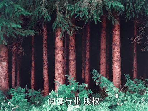 数字阅读行业 版权