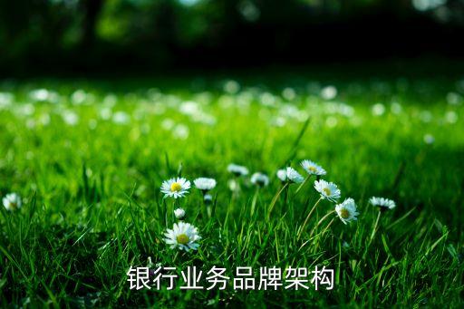银行业务品牌架构