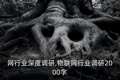 网行业深度调研,物联网行业调研2000字