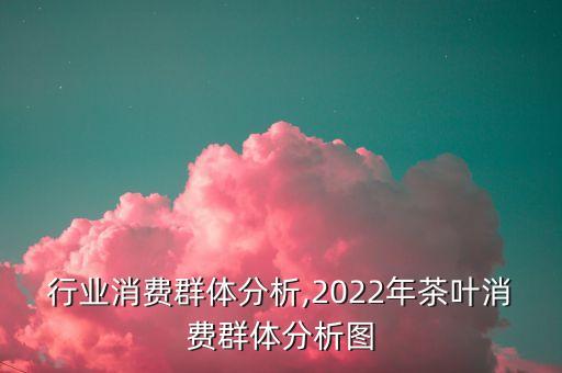 行业消费群体分析,2022年茶叶消费群体分析图