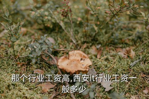 那个行业工资高,西安it行业工资一般多少