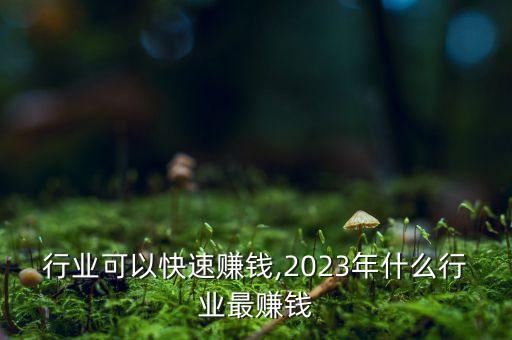 什么行业可以快速赚钱,2023年什么行业最赚钱