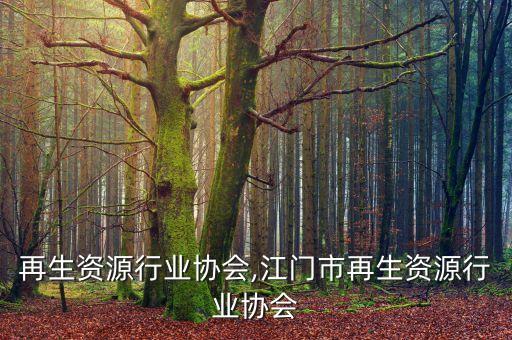 再生资源行业协会,江门市再生资源行业协会