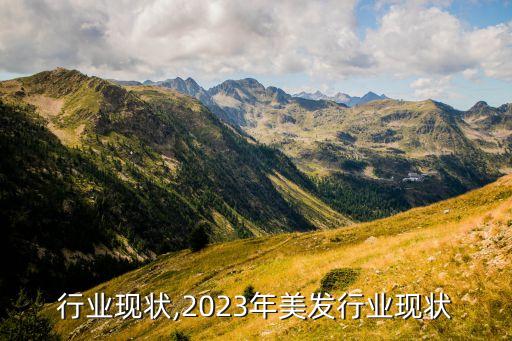 美发行业现状,2023年美发行业现状