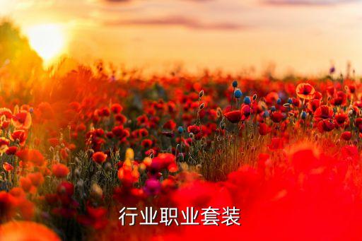 行业职业套装