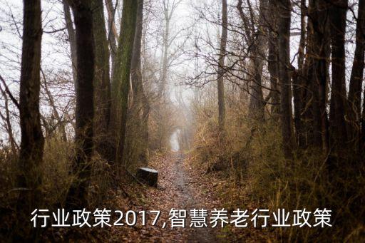 养老行业政策2017,智慧养老行业政策