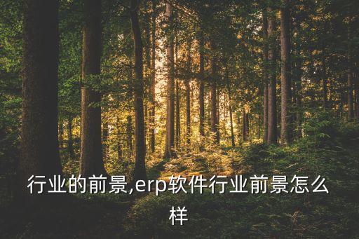 行业的前景,erp软件行业前景怎么样