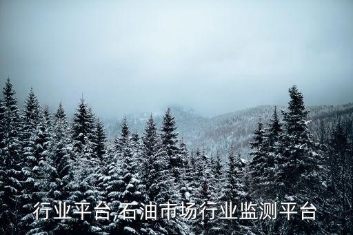 石油行业平台,石油市场行业监测平台