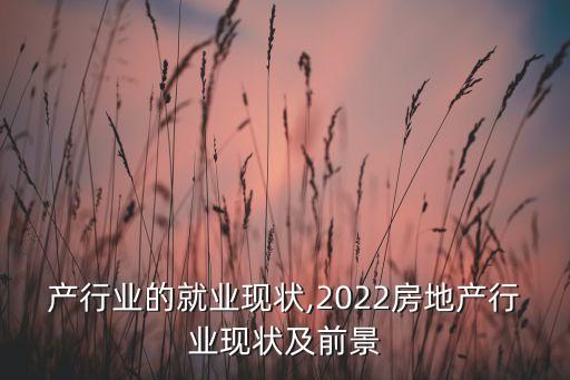 产行业的就业现状,2022房地产行业现状及前景