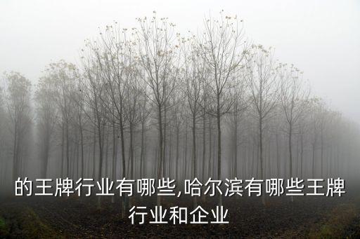 的王牌行业有哪些,哈尔滨有哪些王牌行业和企业