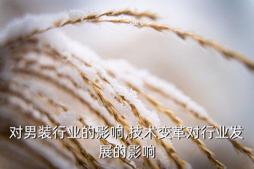 技术对男装行业的影响,技术变革对行业发展的影响