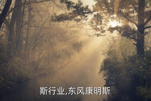 斯行业,东风康明斯
