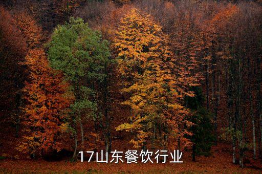 17山东餐饮行业