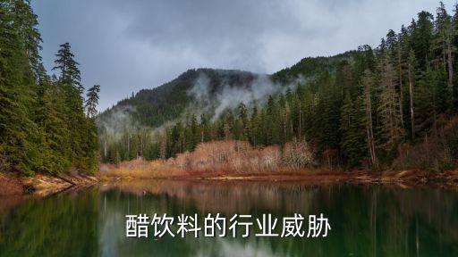 苹果醋饮料的行业威胁