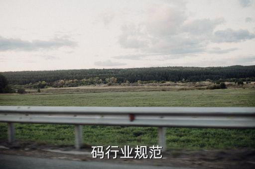 码行业规范