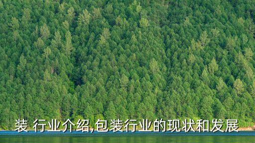 装 行业介绍,包装行业的现状和发展